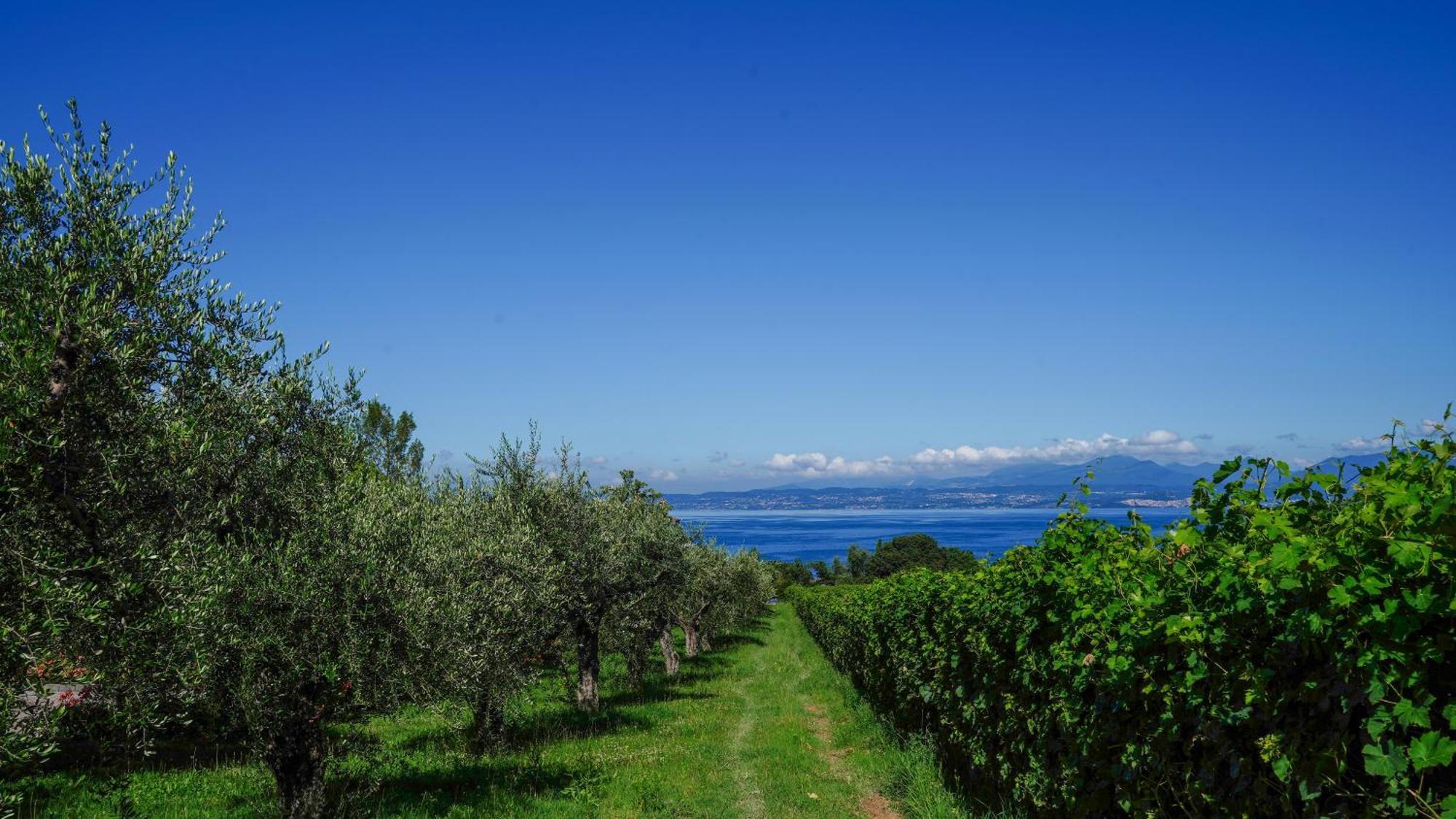 Cala Appartamenti Bardolino Kültér fotó